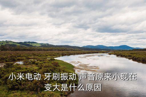 小米電動(dòng) 牙刷振動(dòng) 聲音原來小現(xiàn)在變大是什么原因
