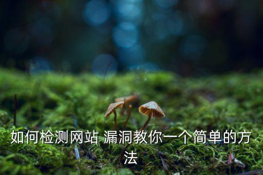 如何檢測網(wǎng)站 漏洞教你一個(gè)簡單的方法