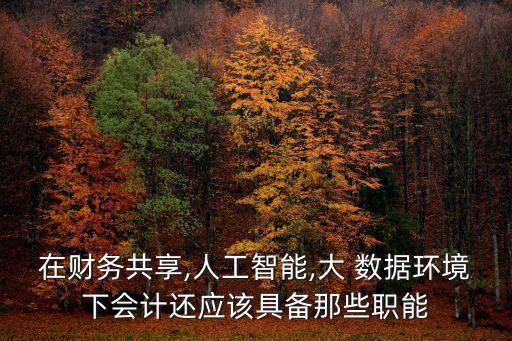在財務共享,人工智能,大 數(shù)據(jù)環(huán)境下會計還應該具備那些職能