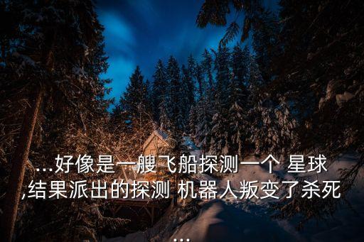 ...好像是一艘飛船探測(cè)一個(gè) 星球,結(jié)果派出的探測(cè) 機(jī)器人叛變了殺死...