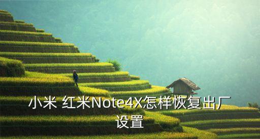 小米 紅米Note4X怎樣恢復出廠設置