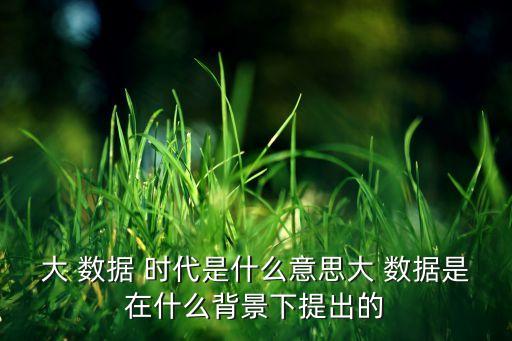 大 數(shù)據 時代是什么意思大 數(shù)據是在什么背景下提出的