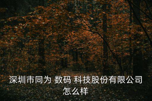 深圳市同為 數(shù)碼 科技股份有限公司怎么樣