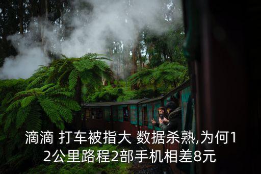 滴滴 打車被指大 數(shù)據(jù)殺熟,為何12公里路程2部手機相差8元