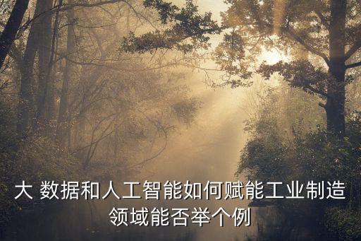 大 數據和人工智能如何賦能工業(yè)制造領域能否舉個例