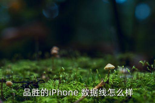  品勝的iPhone 數(shù)據(jù)線怎么樣