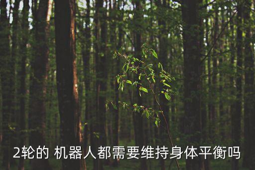 2輪的 機器人都需要維持身體平衡嗎