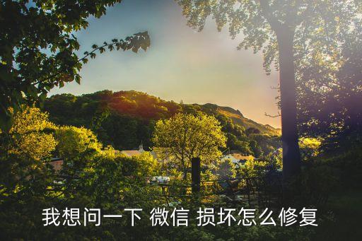 微信數(shù)據(jù)損壞咨詢誰,為什么微信數(shù)據(jù)損壞,一直說要修復(fù)?