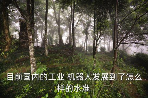 目前國內(nèi)的工業(yè) 機器人發(fā)展到了怎么樣的水準(zhǔn)