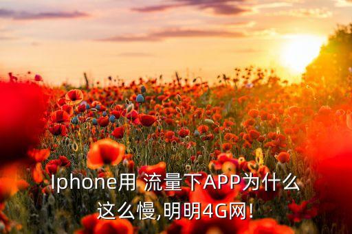 蘋果6聯(lián)通4g數(shù)據(jù)流量上網(wǎng)慢