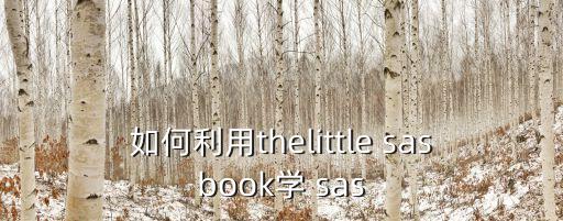 sas 保存數(shù)據(jù)