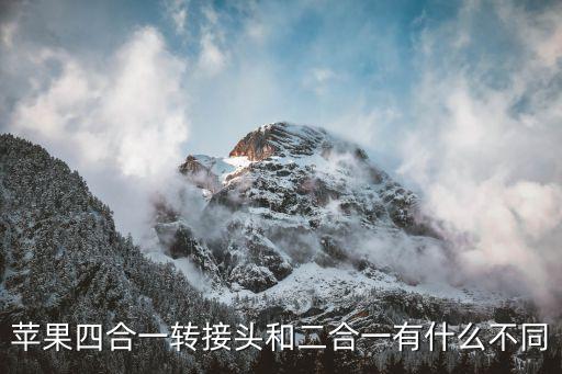蘋果四合一轉(zhuǎn)接頭和二合一有什么不同