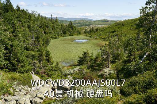 WDCWD3200AAJS00L7A0是 機械 硬盤嗎