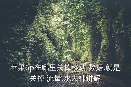 iphone6數(shù)據(jù)流量無法關(guān)閉