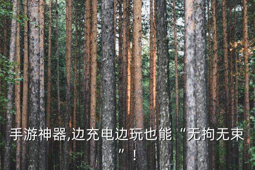 手游神器,邊充電邊玩也能“無拘無束”!