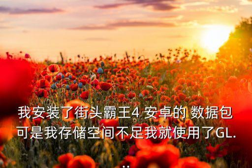 我安裝了街頭霸王4 安卓的 數(shù)據(jù)包可是我存儲(chǔ)空間不足我就使用了GL...