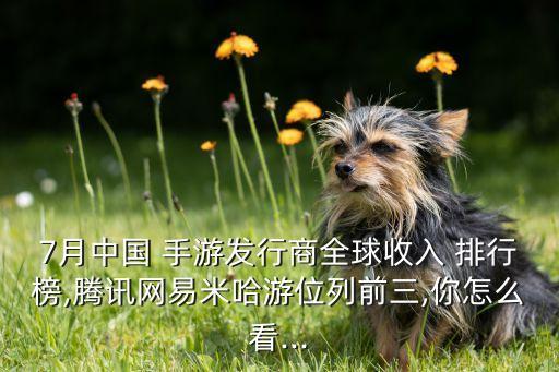 7月中國(guó) 手游發(fā)行商全球收入 排行榜,騰訊網(wǎng)易米哈游位列前三,你怎么看...