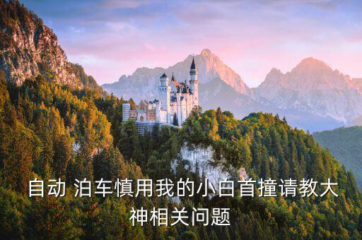 自動泊車為什么會撞,蔚來自動泊車把車撞了
