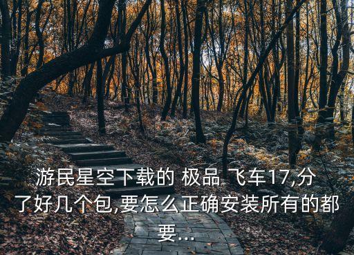 游民星空下載的 極品 飛車17,分了好幾個包,要怎么正確安裝所有的都要...