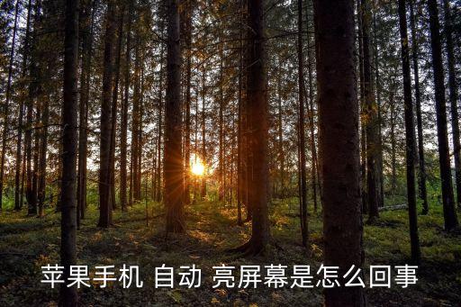 蘋果手機(jī) 自動(dòng) 亮屏幕是怎么回事