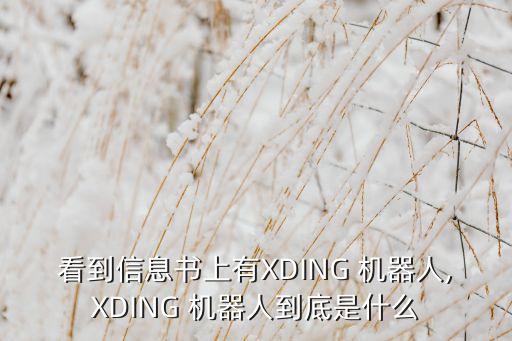 看到信息書上有XDING 機(jī)器人,XDING 機(jī)器人到底是什么