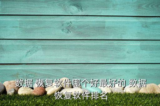  數(shù)據(jù) 恢復(fù)軟件哪個(gè)好最好的 數(shù)據(jù) 恢復(fù)軟件排名