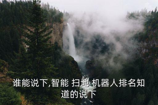 誰(shuí)能說(shuō)下,智能 掃地 機(jī)器人排名知道的說(shuō)下