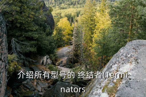 介紹所有型號(hào)的 終結(jié)者(Terminators