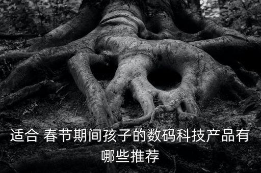 適合 春節(jié)期間孩子的數(shù)碼科技產(chǎn)品有哪些推薦