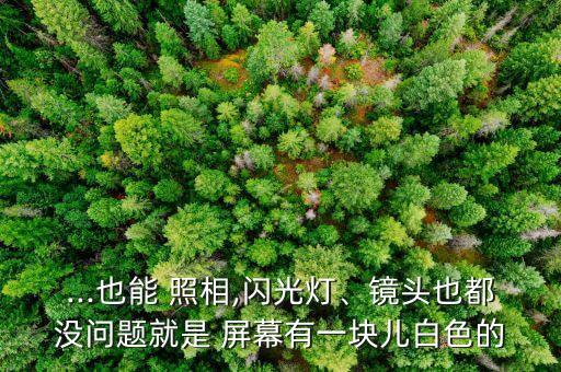 相機掉地上屏幕摔壞用數據線接電腦可以照相但是沒有彩色