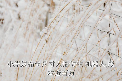 仿人機器人的概念,中國最新仿人機器人