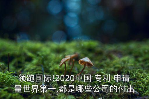 企業(yè)專利申請數(shù)據(jù),比亞迪專利申請數(shù)據(jù)