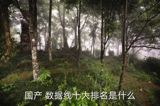 品勝數(shù)據線哪個好,羅馬仕和品勝數(shù)據線哪個耐用