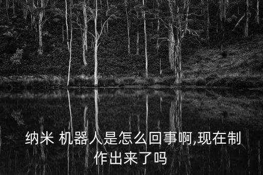 納米 機(jī)器人是怎么回事啊,現(xiàn)在制作出來(lái)了嗎