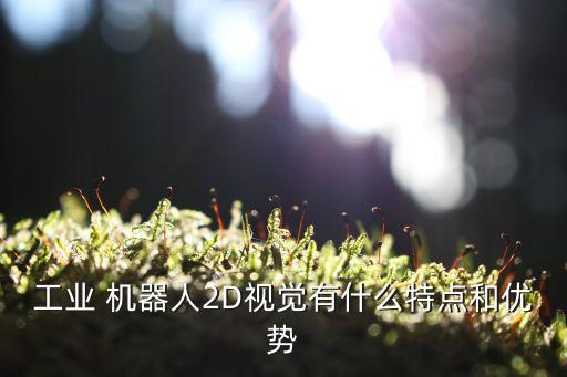 工業(yè) 機器人2D視覺有什么特點和優(yōu)勢