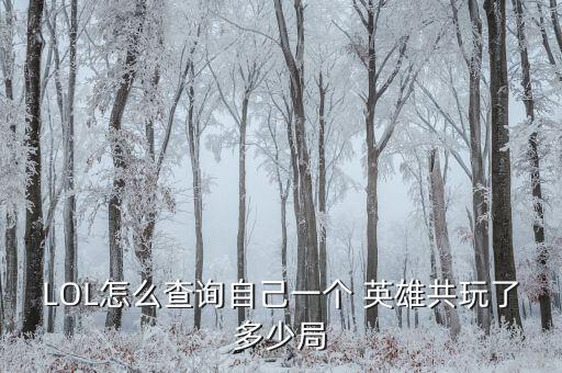 LOL怎么查詢自己一個 英雄共玩了多少局
