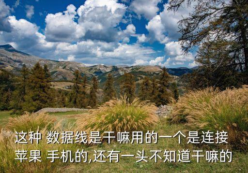 這種 數(shù)據(jù)線是干嘛用的一個(gè)是連接 蘋果 手機(jī)的,還有一頭不知道干嘛的