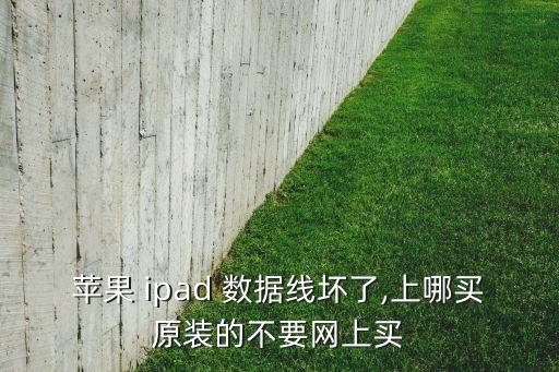 蘋果 ipad 數(shù)據(jù)線壞了,上哪買原裝的不要網(wǎng)上買