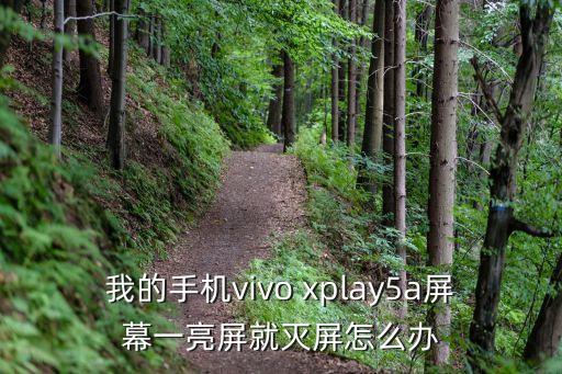 我的手機vivo xplay5a屏幕一亮屏就滅屏怎么辦