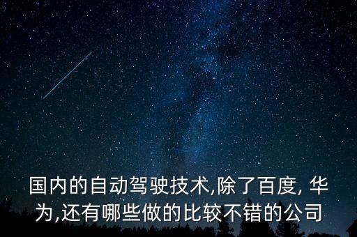 國(guó)內(nèi)的自動(dòng)駕駛技術(shù),除了百度, 華為,還有哪些做的比較不錯(cuò)的公司