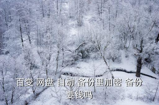 百變 網(wǎng)盤 自動 備份里加密 備份要錢嗎