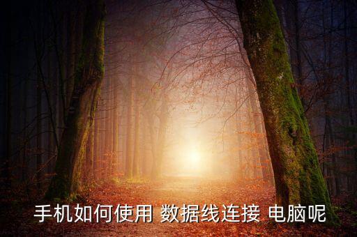  手機如何使用 數(shù)據(jù)線連接 電腦呢