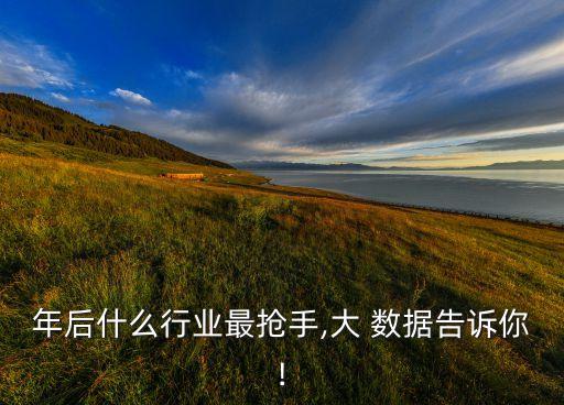 年后什么行業(yè)最搶手,大 數(shù)據(jù)告訴你!