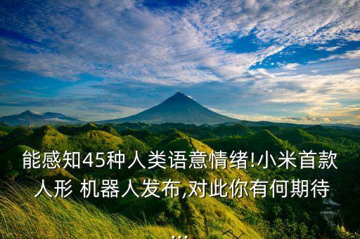 人形機(jī)器人的意義