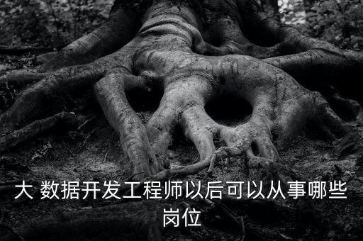 大 數(shù)據(jù)開發(fā)工程師以后可以從事哪些崗位