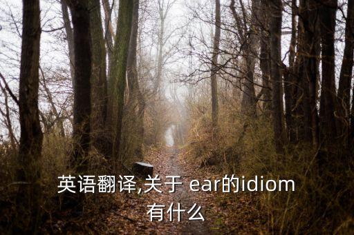 英語翻譯,關(guān)于 ear的idiom有什么