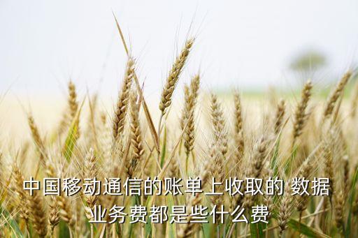 中國移動通信的賬單上收取的 數(shù)據(jù) 業(yè)務費都是些什么費