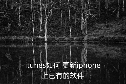 itunes如何 更新iphone上已有的軟件