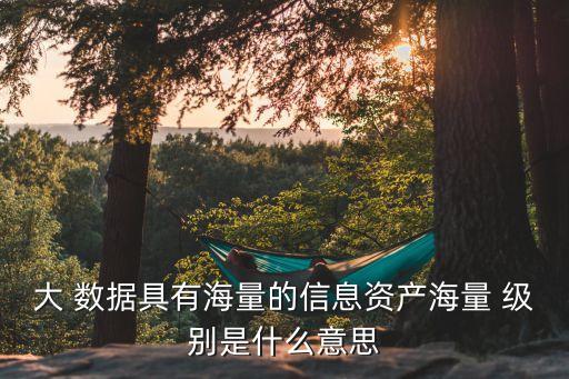 大 數(shù)據(jù)具有海量的信息資產(chǎn)海量 級別是什么意思