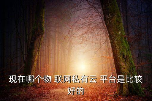 現(xiàn)在哪個(gè)物 聯(lián)網(wǎng)私有云 平臺(tái)是比較好的